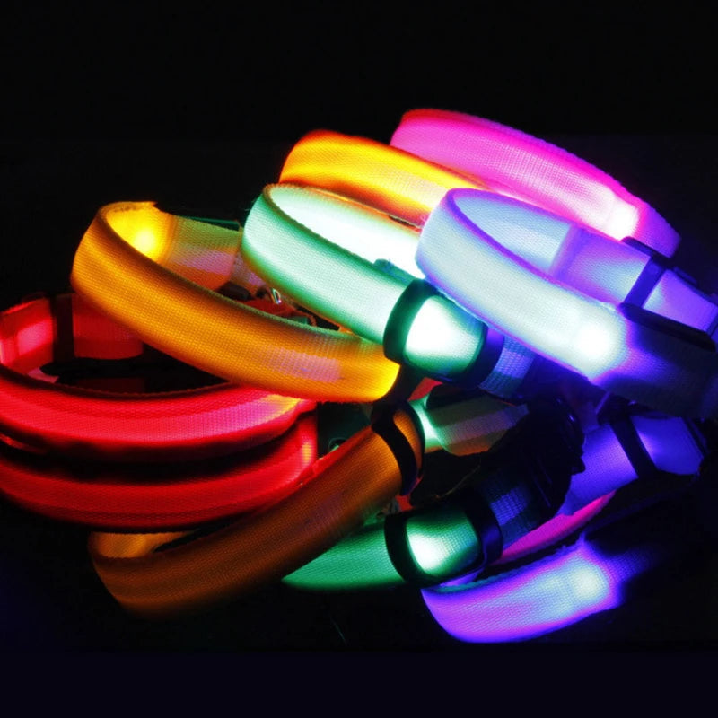 Collier de chien LED avec chargeur USB, veilleuse de sécurité pour chien, collier clignotant, colliers fluorescents, fournitures pour animaux de compagnie MyPetOnlyPlus