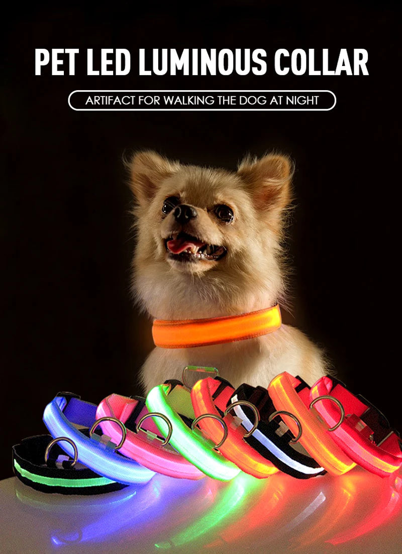 Collier de chien LED avec chargeur USB, veilleuse de sécurité pour chien, collier clignotant, colliers fluorescents, fournitures pour animaux de compagnie MyPetOnlyPlus