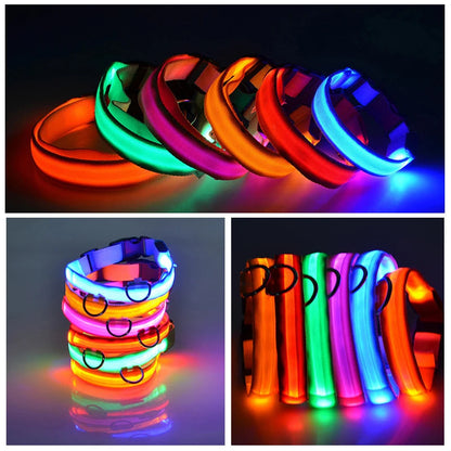 Collier de chien LED avec chargeur USB, veilleuse de sécurité pour chien, collier clignotant, colliers fluorescents, fournitures pour animaux de compagnie MyPetOnlyPlus