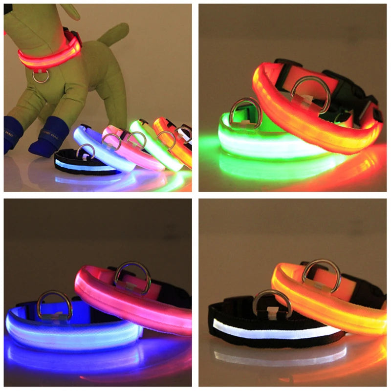 Collier de chien LED avec chargeur USB, veilleuse de sécurité pour chien, collier clignotant, colliers fluorescents, fournitures pour animaux de compagnie MyPetOnlyPlus