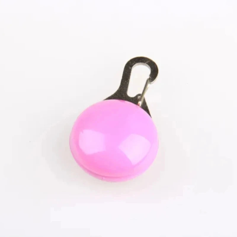 Collier Led pour chien et chat, pendentif, laisse pour animaux de compagnie, accessoires lumineux, collier lumineux, décoration de sécurité nocturne MyPetOnlyPlus