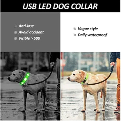 Collier de chien lumineux LED réglable clignotant Rechargea collier lumineux nuit Anti-perte harnais de lumière pour chien pour petits chiens produits pour animaux de compagnie MyPetOnlyPlus