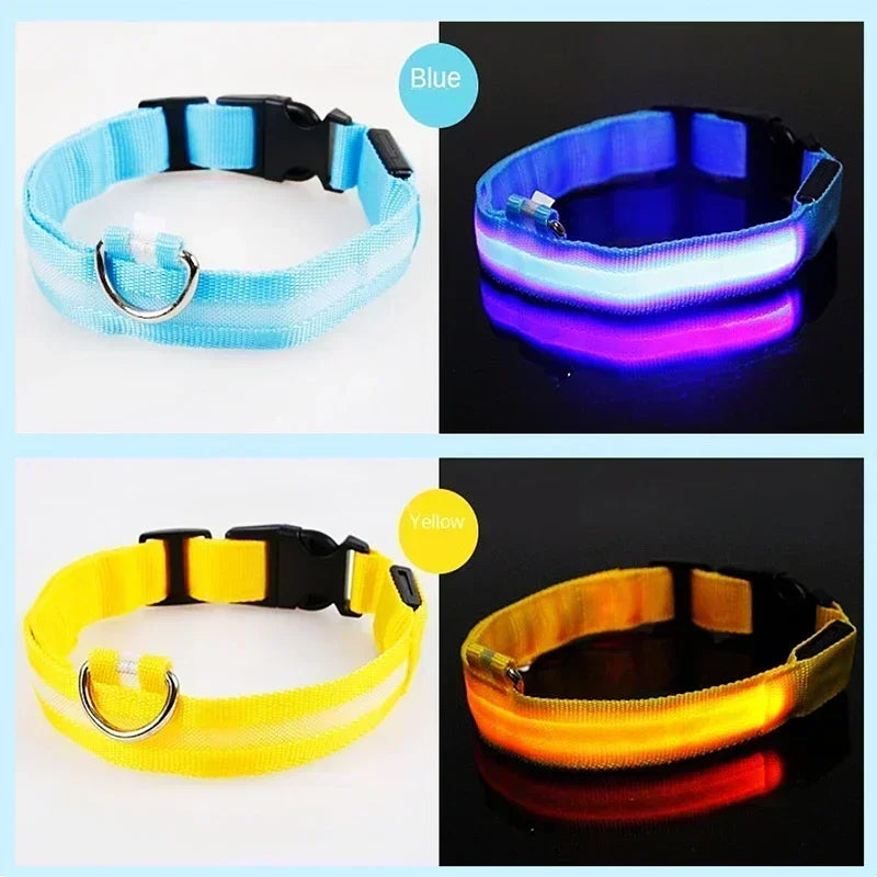 Collier de chien lumineux LED réglable clignotant Rechargea collier lumineux nuit Anti-perte harnais de lumière pour chien pour petits chiens produits pour animaux de compagnie MyPetOnlyPlus