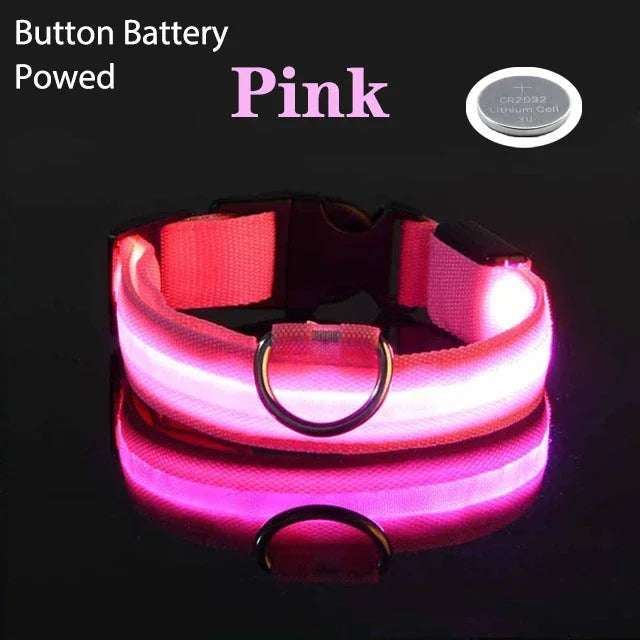 Collier de chien LED avec chargeur USB, veilleuse de sécurité pour chien, collier clignotant, colliers fluorescents, fournitures pour animaux de compagnie MyPetOnlyPlus