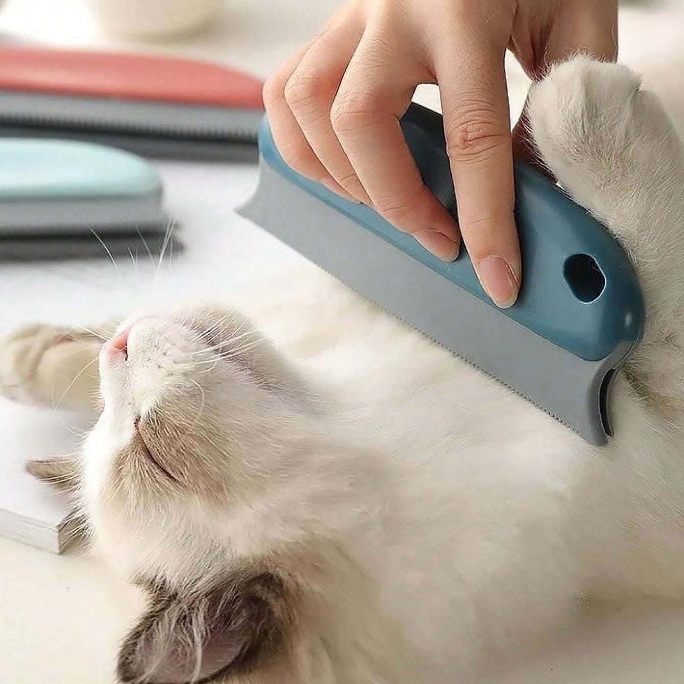 Brosse Épilateur Efficace pour Animaux de Compagnie, Rasage en Douceur de la Laine et de la Fourrure d'Aleans, pour une Maison Soignée et Bien Rangée, pour Chats et Chiens MyPetOnlyPlus