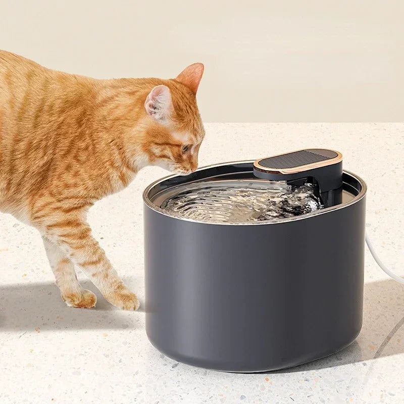 Fontaine d'eau automatique pour chat, 3l, silencieuse, Charge USB, distributeur d'eau électrique pour animaux de compagnie, fournitures pour chats MyPetOnlyPlus