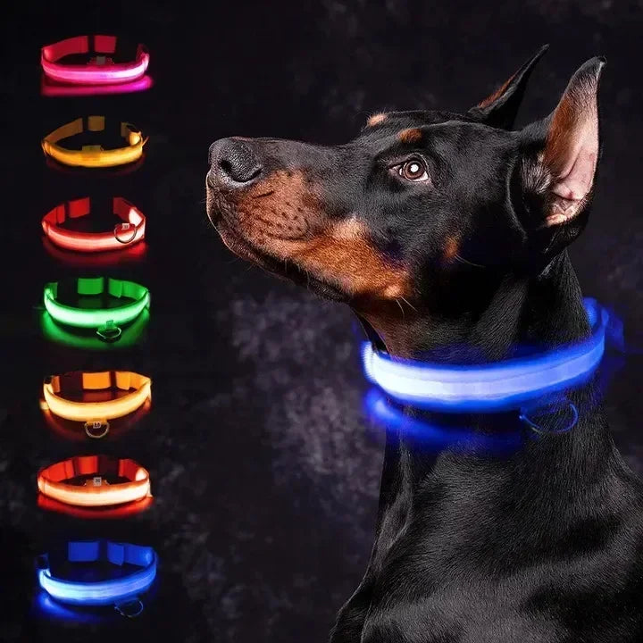 Collier de chien lumineux LED réglable clignotant Rechargea collier lumineux nuit Anti-perte harnais de lumière pour chien pour petits chiens produits pour animaux de compagnie MyPetOnlyPlus