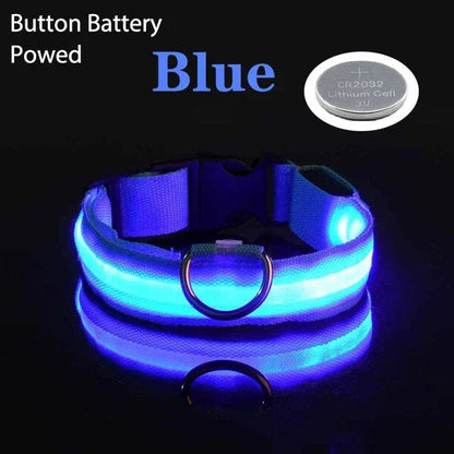 Collier de chien LED avec chargeur USB, veilleuse de sécurité pour chien, collier clignotant, colliers fluorescents, fournitures pour animaux de compagnie MyPetOnlyPlus