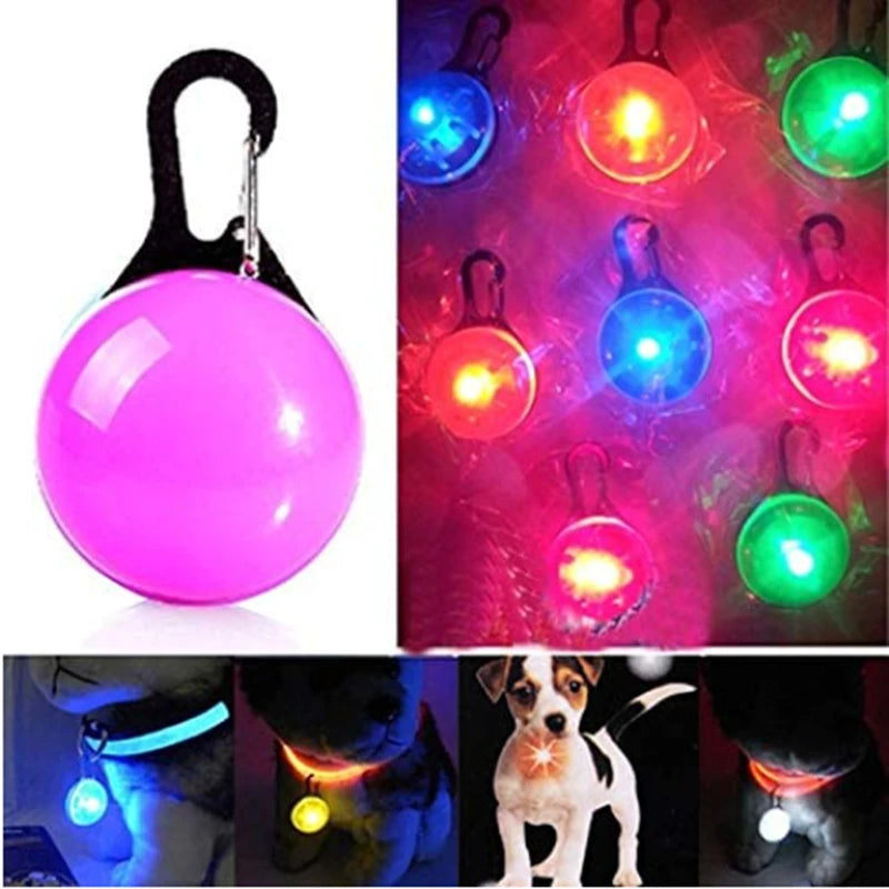 Collier Led pour chien et chat, pendentif, laisse pour animaux de compagnie, accessoires lumineux, collier lumineux, décoration de sécurité nocturne MyPetOnlyPlus