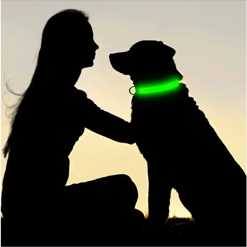 Collier de chien lumineux LED réglable clignotant Rechargea collier lumineux nuit Anti-perte harnais de lumière pour chien pour petits chiens produits pour animaux de compagnie MyPetOnlyPlus