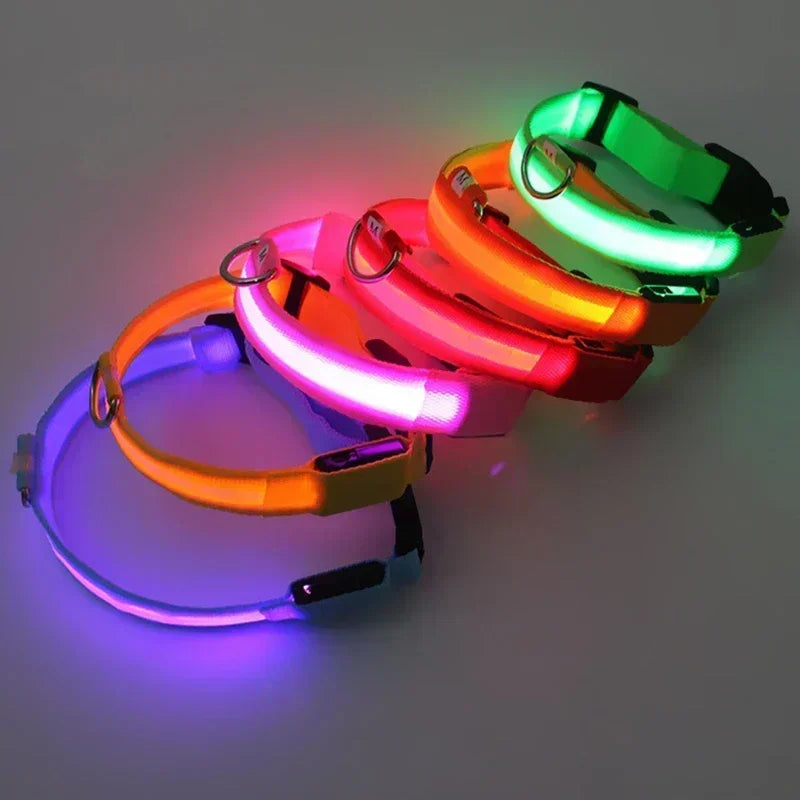 Collier de chien lumineux LED réglable clignotant Rechargea collier lumineux nuit Anti-perte harnais de lumière pour chien pour petits chiens produits pour animaux de compagnie MyPetOnlyPlus