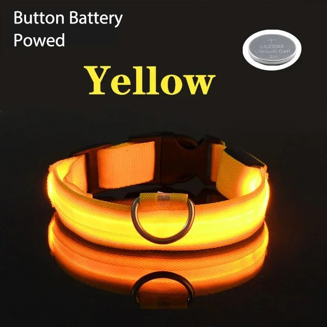 Collier de chien LED avec chargeur USB, veilleuse de sécurité pour chien, collier clignotant, colliers fluorescents, fournitures pour animaux de compagnie MyPetOnlyPlus