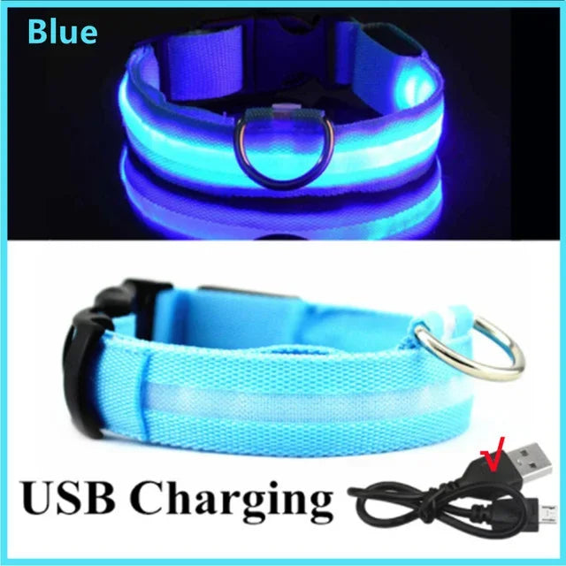 Collier de chien lumineux LED réglable clignotant Rechargea collier lumineux nuit Anti-perte harnais de lumière pour chien pour petits chiens produits pour animaux de compagnie MyPetOnlyPlus