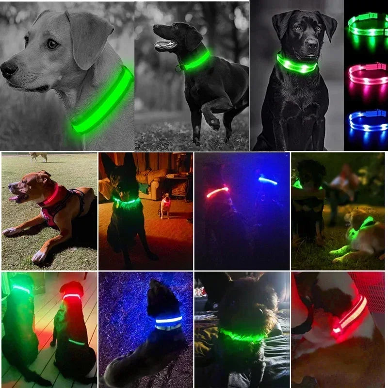 Collier de chien lumineux LED réglable clignotant Rechargea collier lumineux nuit Anti-perte harnais de lumière pour chien pour petits chiens produits pour animaux de compagnie MyPetOnlyPlus