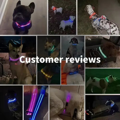 Collier de chien lumineux LED réglable clignotant Rechargea collier lumineux nuit Anti-perte harnais de lumière pour chien pour petits chiens produits pour animaux de compagnie MyPetOnlyPlus