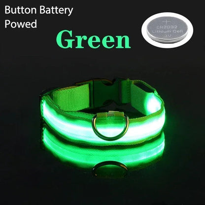 Collier de chien LED avec chargeur USB, veilleuse de sécurité pour chien, collier clignotant, colliers fluorescents, fournitures pour animaux de compagnie MyPetOnlyPlus