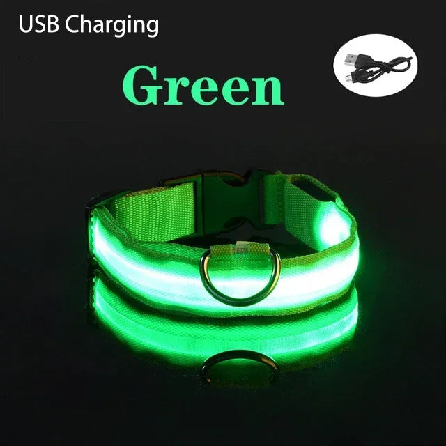 Collier de chien LED avec chargeur USB, veilleuse de sécurité pour chien, collier clignotant, colliers fluorescents, fournitures pour animaux de compagnie MyPetOnlyPlus