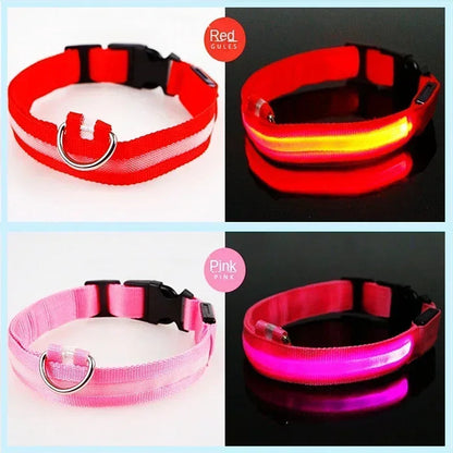 Collier de chien lumineux LED réglable clignotant Rechargea collier lumineux nuit Anti-perte harnais de lumière pour chien pour petits chiens produits pour animaux de compagnie MyPetOnlyPlus