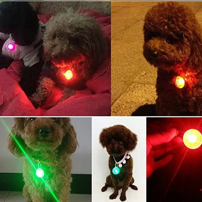 Collier Led pour chien et chat, pendentif, laisse pour animaux de compagnie, accessoires lumineux, collier lumineux, décoration de sécurité nocturne MyPetOnlyPlus