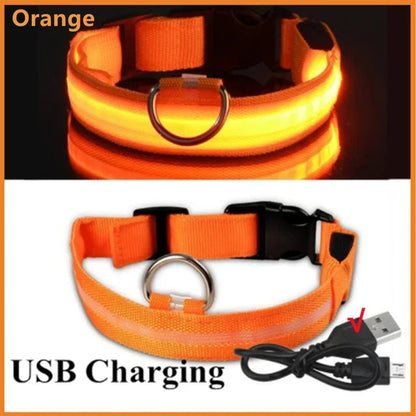 Collier de chien lumineux LED réglable clignotant Rechargea collier lumineux nuit Anti-perte harnais de lumière pour chien pour petits chiens produits pour animaux de compagnie MyPetOnlyPlus