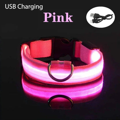 Collier de chien LED avec chargeur USB, veilleuse de sécurité pour chien, collier clignotant, colliers fluorescents, fournitures pour animaux de compagnie MyPetOnlyPlus