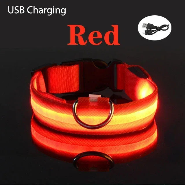 Collier de chien LED avec chargeur USB, veilleuse de sécurité pour chien, collier clignotant, colliers fluorescents, fournitures pour animaux de compagnie MyPetOnlyPlus