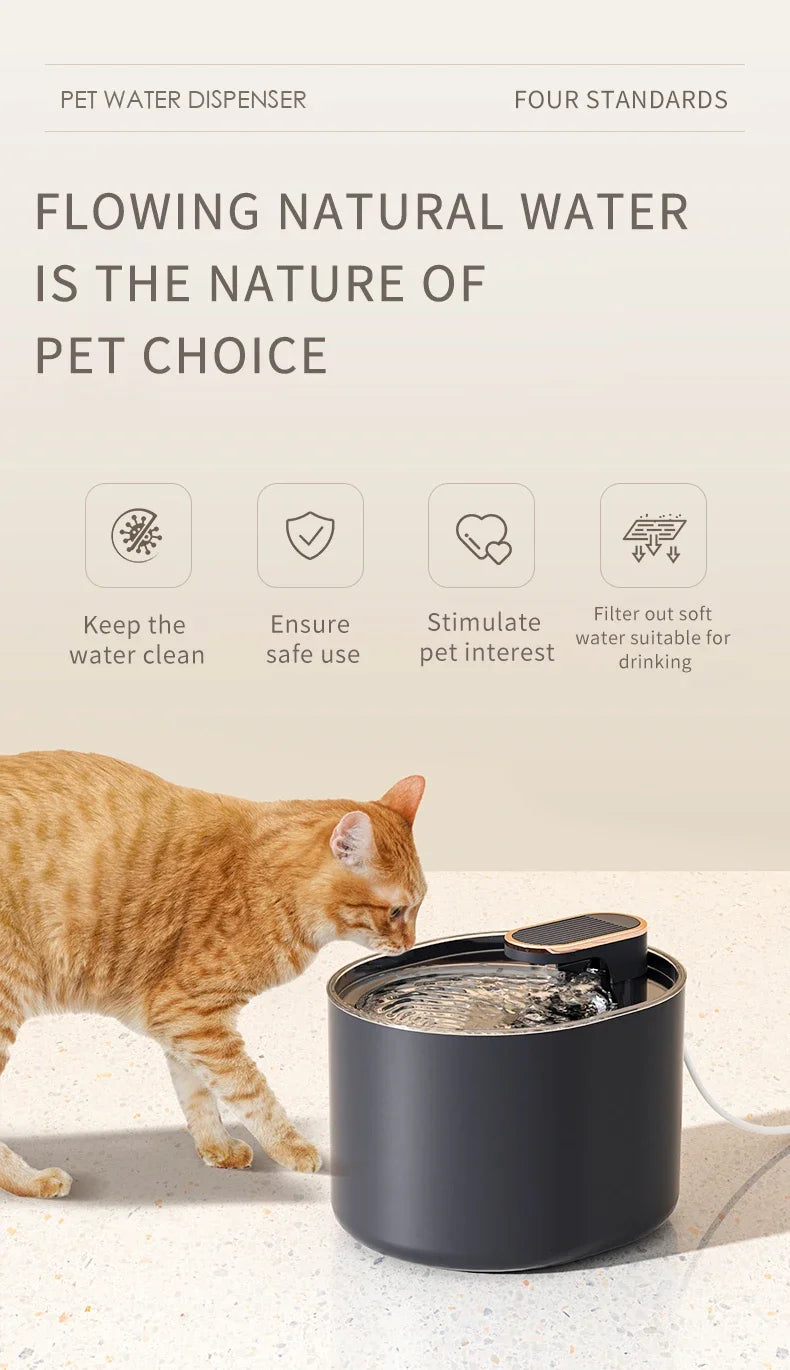 Fontaine d'eau automatique pour chat, 3l, silencieuse, Charge USB, distributeur d'eau électrique pour animaux de compagnie, fournitures pour chats MyPetOnlyPlus