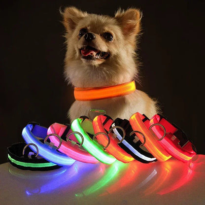 Collier de chien LED avec chargeur USB, veilleuse de sécurité pour chien, collier clignotant, colliers fluorescents, fournitures pour animaux de compagnie MyPetOnlyPlus