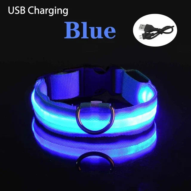 Collier de chien LED avec chargeur USB, veilleuse de sécurité pour chien, collier clignotant, colliers fluorescents, fournitures pour animaux de compagnie MyPetOnlyPlus