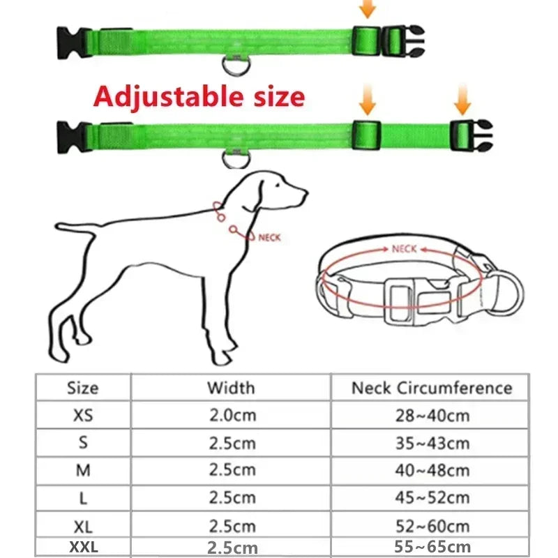 Collier de chien lumineux LED réglable clignotant Rechargea collier lumineux nuit Anti-perte harnais de lumière pour chien pour petits chiens produits pour animaux de compagnie MyPetOnlyPlus