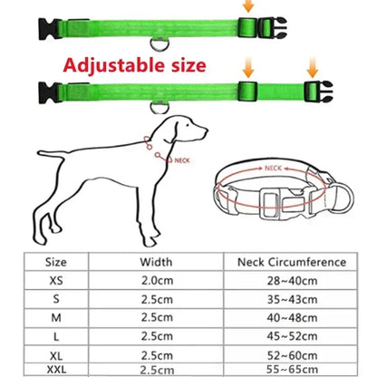 Collier de chien lumineux LED réglable clignotant Rechargea collier lumineux nuit Anti-perte harnais de lumière pour chien pour petits chiens produits pour animaux de compagnie MyPetOnlyPlus