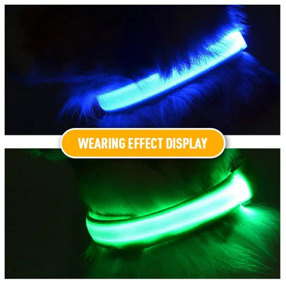 Collier de chien LED avec chargeur USB, veilleuse de sécurité pour chien, collier clignotant, colliers fluorescents, fournitures pour animaux de compagnie MyPetOnlyPlus