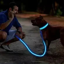 Collier de chien lumineux LED réglable clignotant Rechargea collier lumineux nuit Anti-perte harnais de lumière pour chien pour petits chiens produits pour animaux de compagnie MyPetOnlyPlus