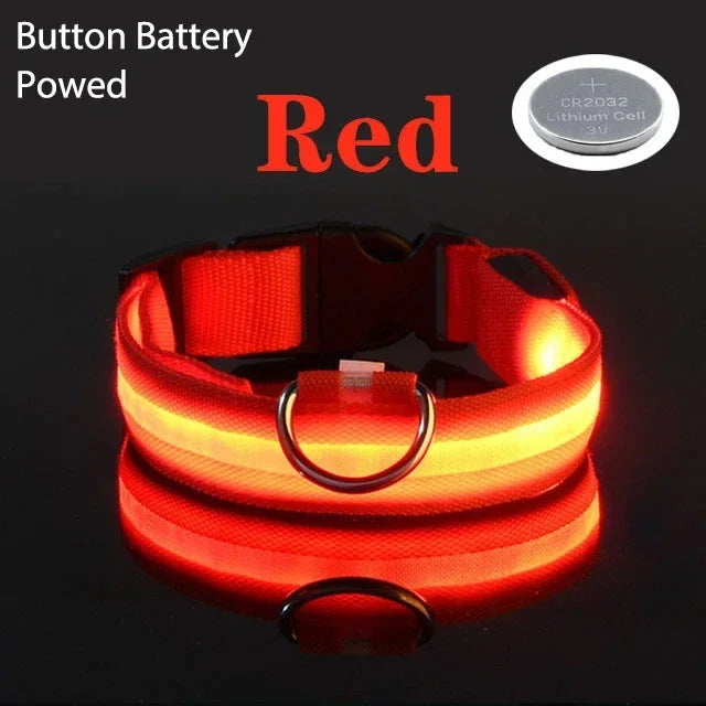 Collier de chien LED avec chargeur USB, veilleuse de sécurité pour chien, collier clignotant, colliers fluorescents, fournitures pour animaux de compagnie MyPetOnlyPlus