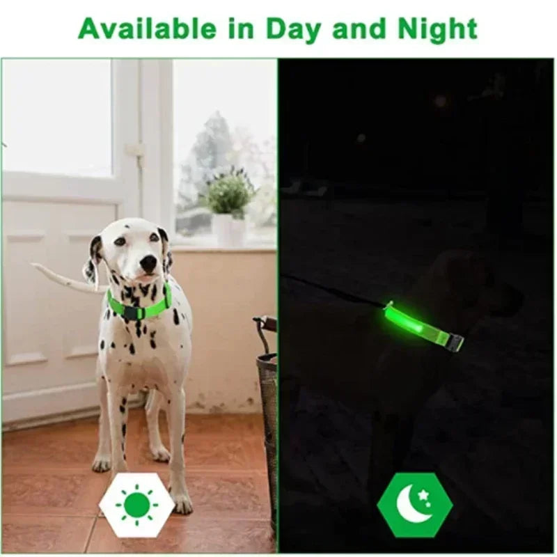 Collier de chien lumineux LED réglable clignotant Rechargea collier lumineux nuit Anti-perte harnais de lumière pour chien pour petits chiens produits pour animaux de compagnie MyPetOnlyPlus