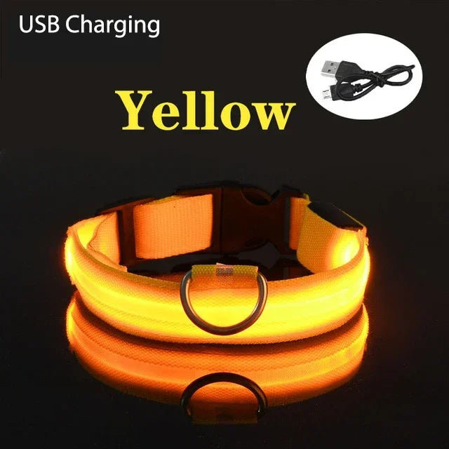 Collier de chien LED avec chargeur USB, veilleuse de sécurité pour chien, collier clignotant, colliers fluorescents, fournitures pour animaux de compagnie MyPetOnlyPlus