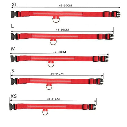 Collier de chien LED avec chargeur USB, veilleuse de sécurité pour chien, collier clignotant, colliers fluorescents, fournitures pour animaux de compagnie MyPetOnlyPlus